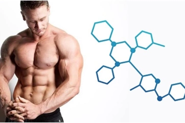 Влияет ли тестостерон на размер члена: что говорят эксперты